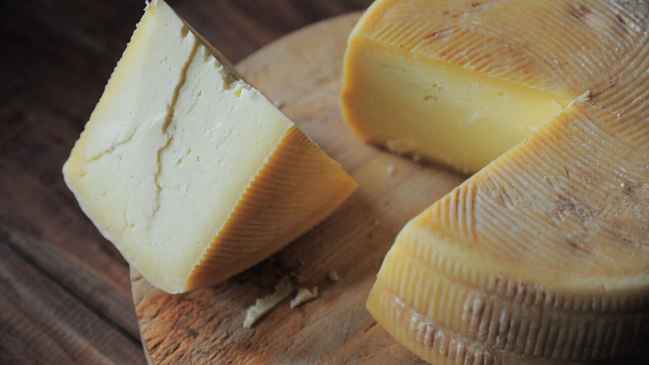 Wie Käse länger frisch und haltbar bleibt