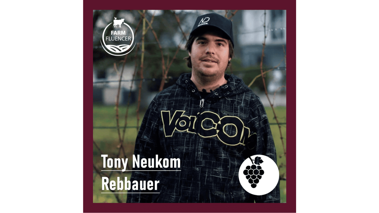 Rebbauer Tony Neukom - vom Rebschnitt zum Wein