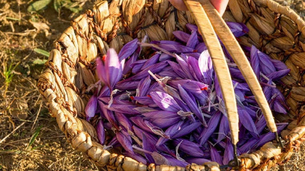 Saffron Tales: Werden Sie Teil eines Safran-Märchens